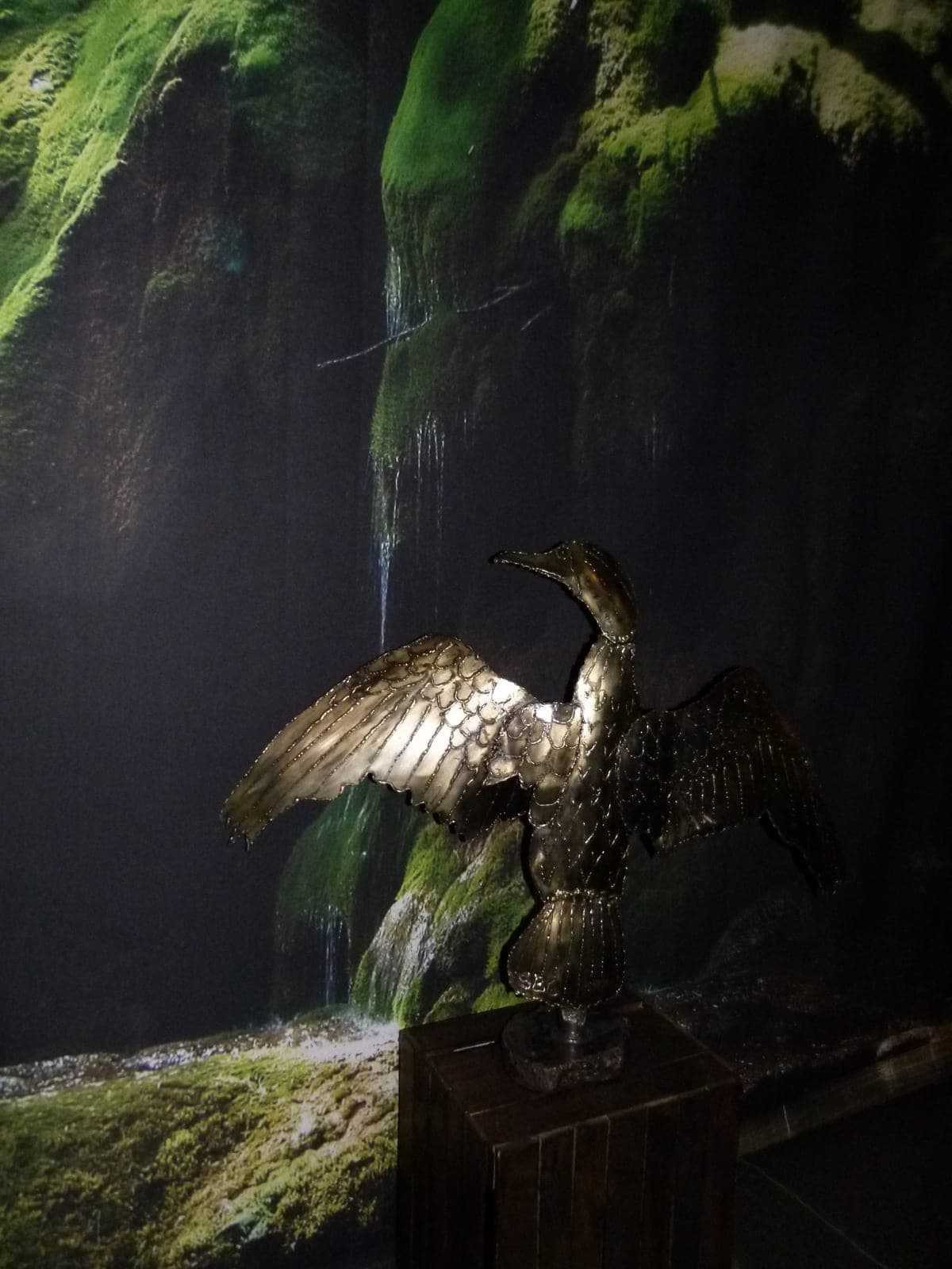 Cormoran