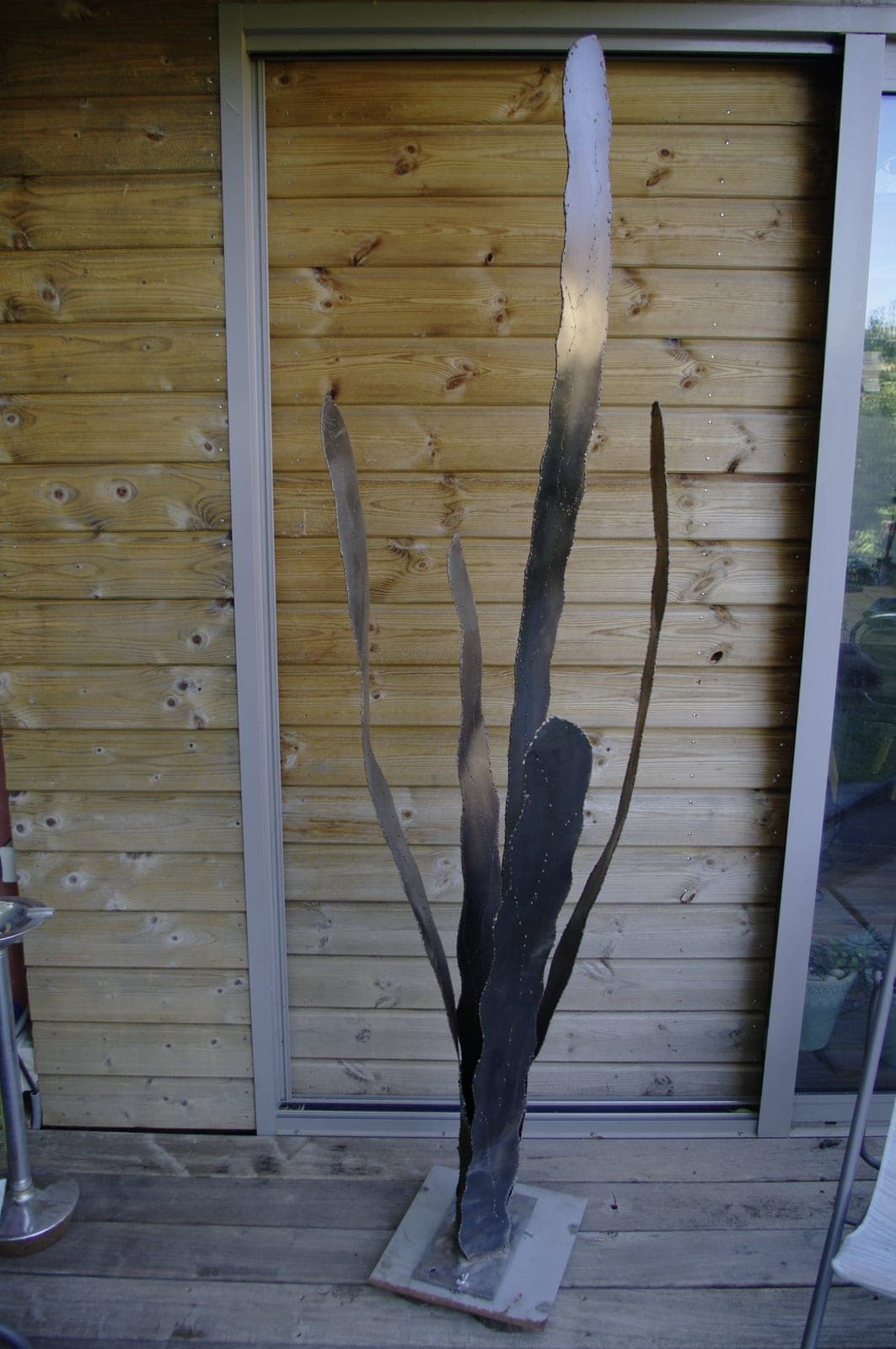 Grande algue « Cactus »